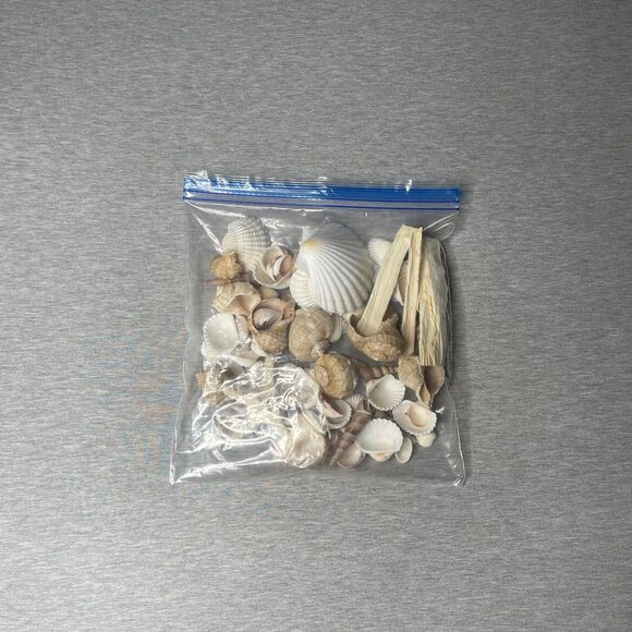 Target Threshold Beach Sea Shells Vase Filler Decor - Picture 5 of 5
